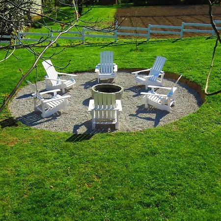 House Wisteria Villa Rakovica Exterior photo