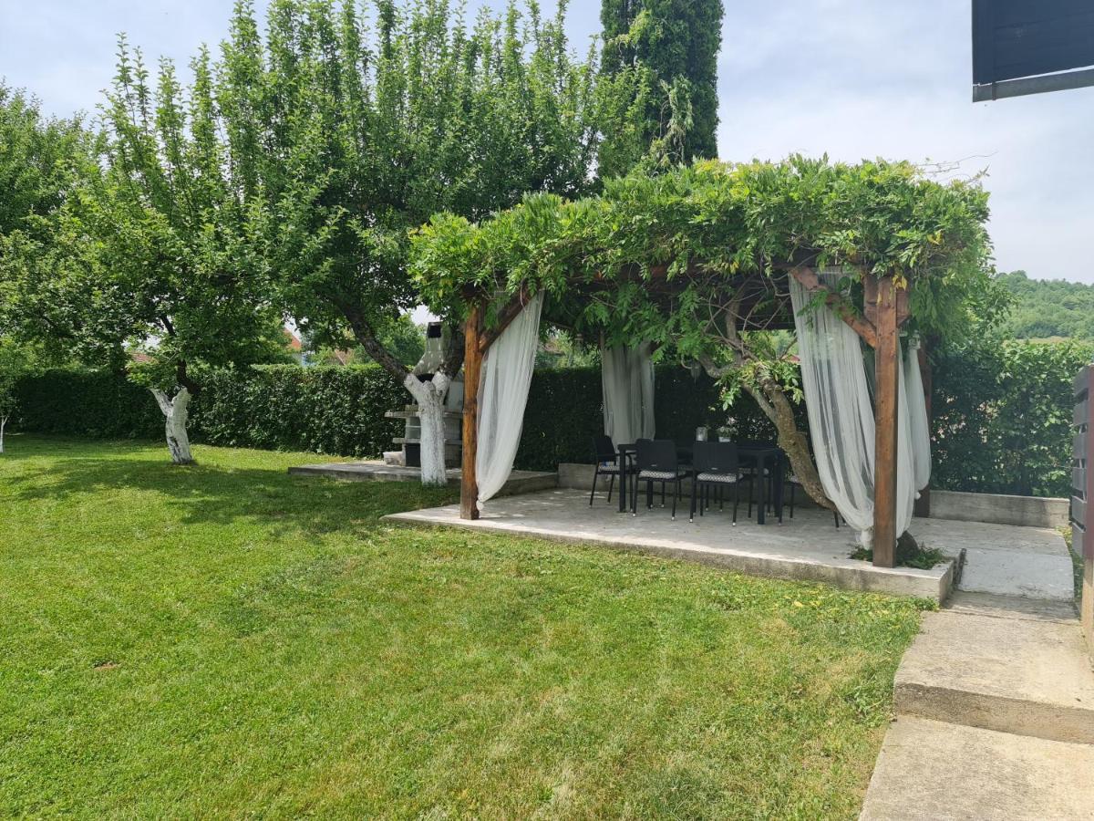 House Wisteria