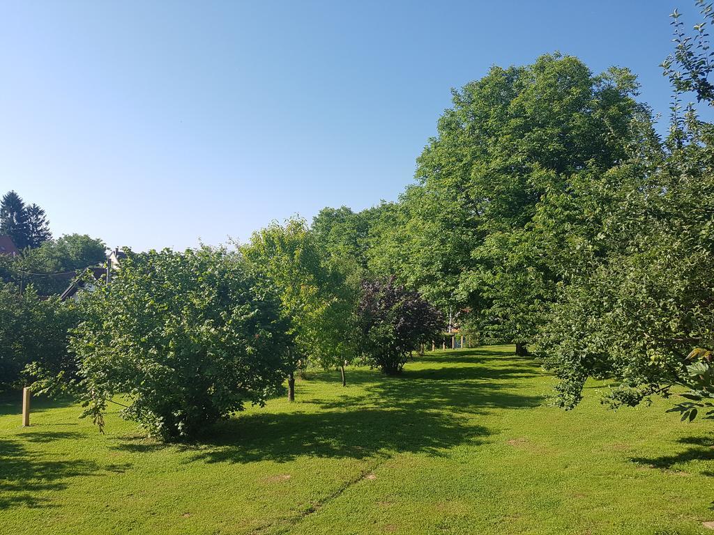 House Wisteria * Rakovica