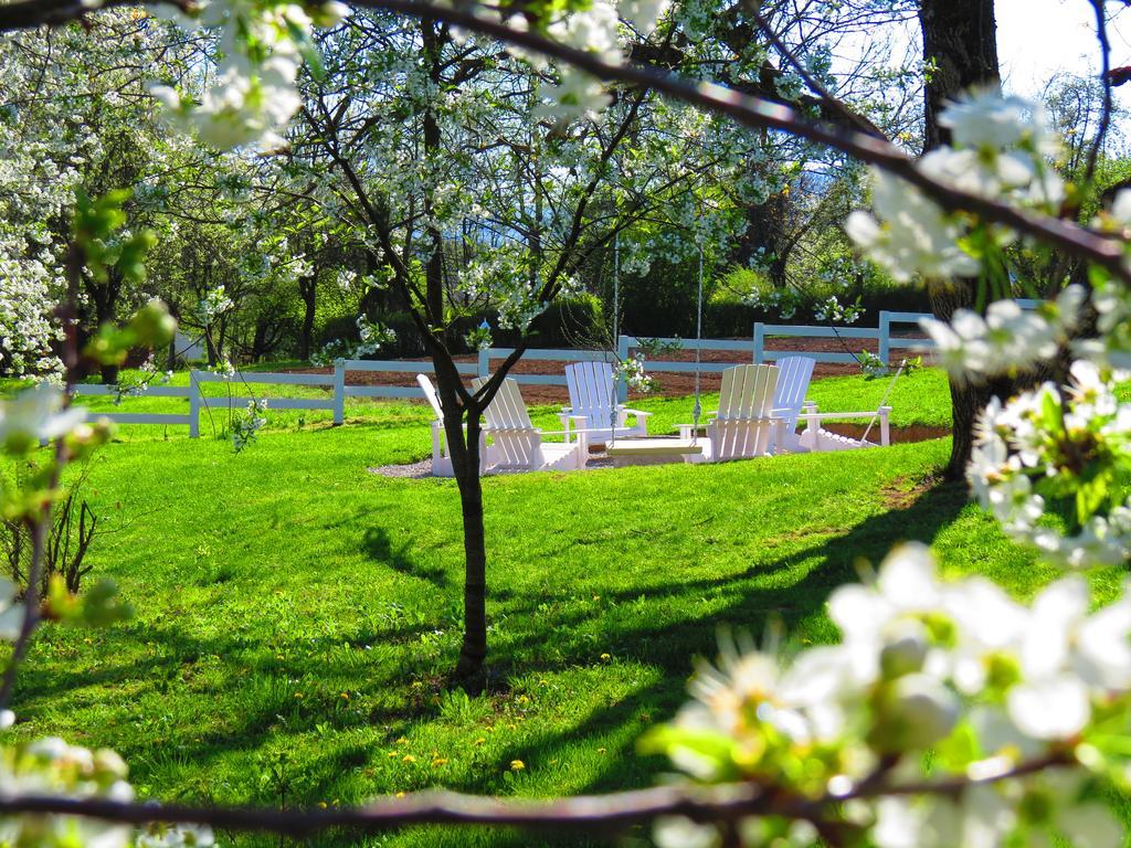 House Wisteria Holiday home