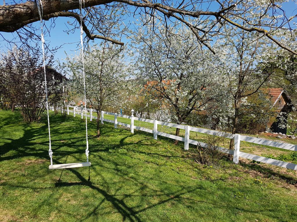 House Wisteria *
